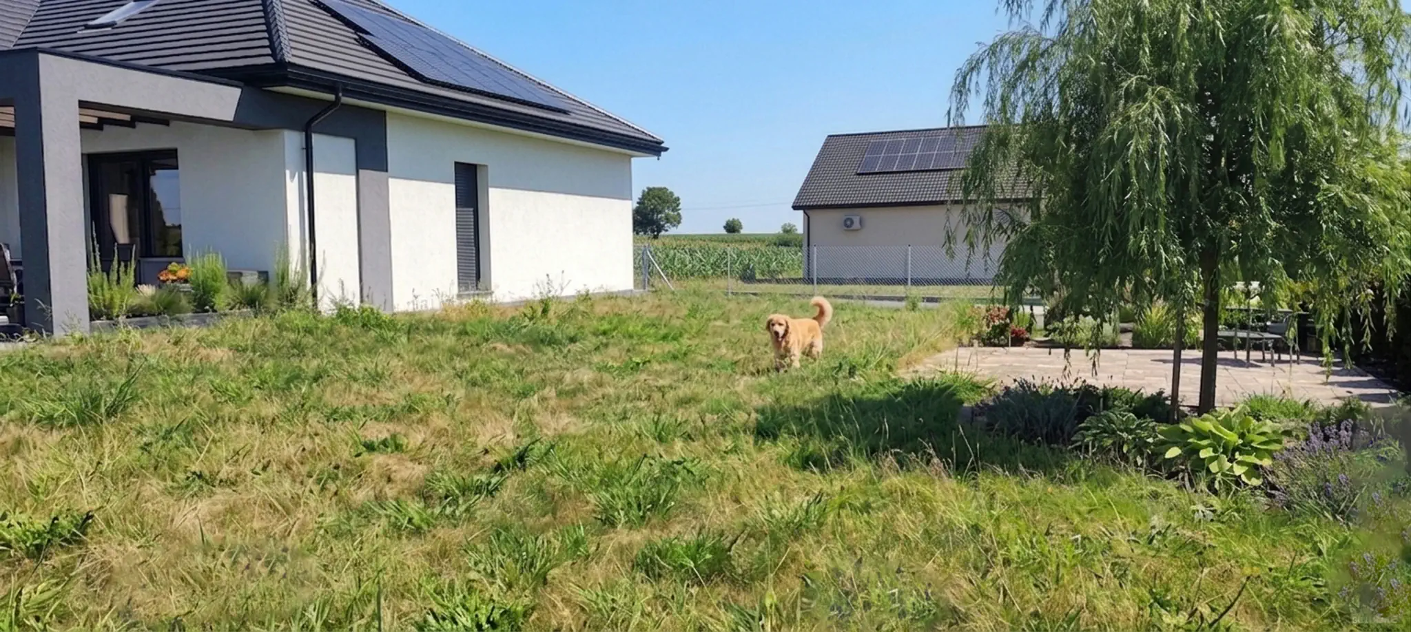 Ogród przed realizacją
